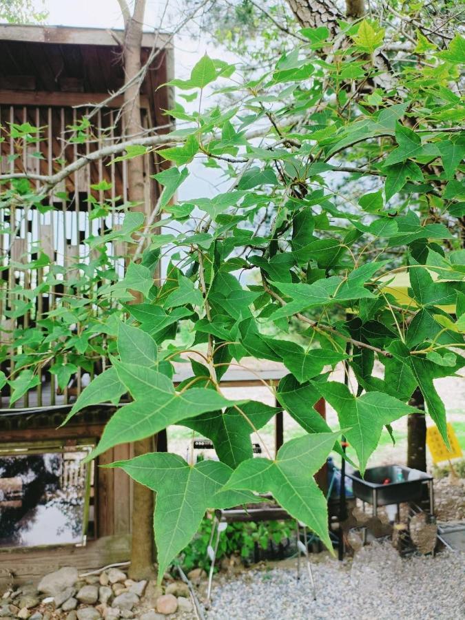 Fun星空謐境 埔里包棟民宿 烤肉麻將自然園區 외부 사진